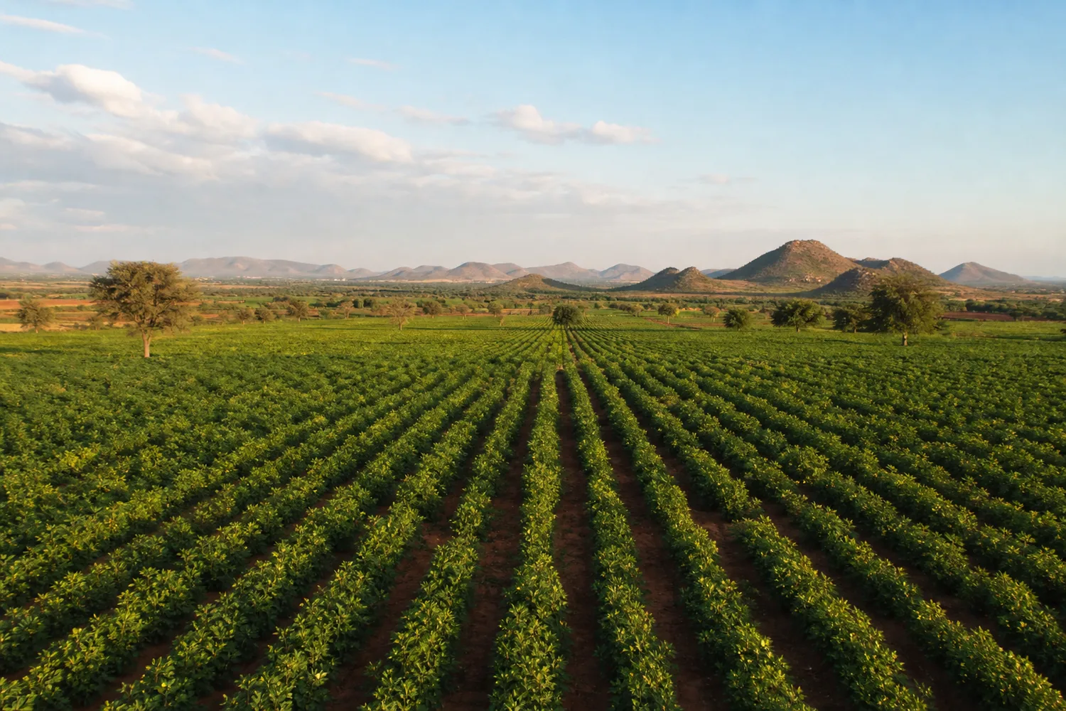 Ananthapuramu landscape — fields and open sky